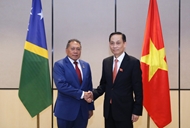 Vietnam treasures relations with Solomon Islands: FM